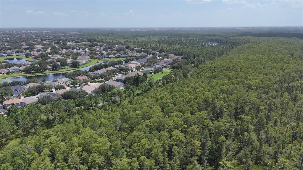 An aerial view shows a residential neighborhood bordering a large, dense forest area — INTERNATIONAL DR S, ORLANDO, FL
