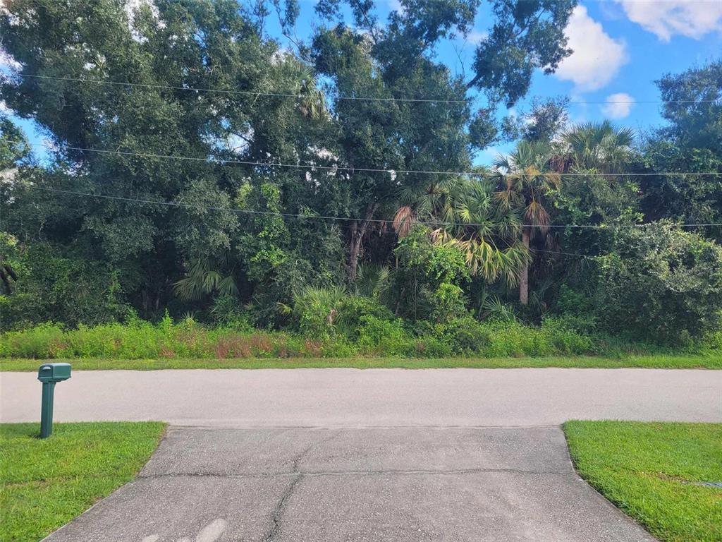 A paved driveway leads to a street in front of a wooded, undeveloped lot — APRIL AVENUE, NORTH PORT, FL