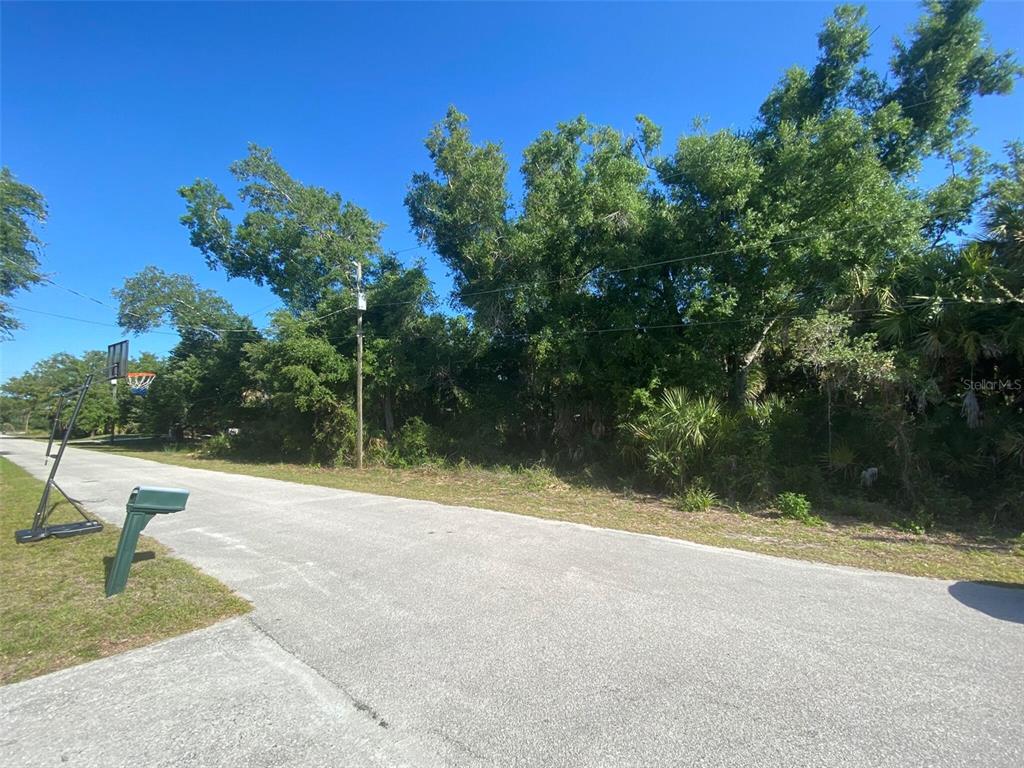 A paved road leads past a basketball hoop toward a wooded, undeveloped residential lot — APRIL AVENUE, NORTH PORT, FL