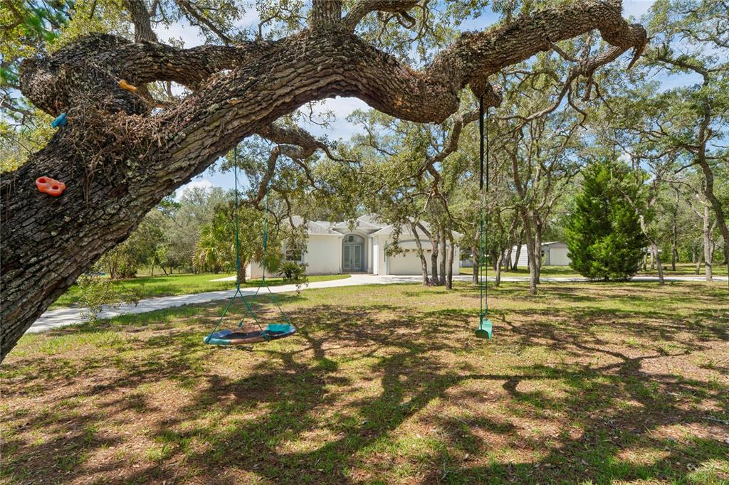 A large oak tree with swings and climbing holds stands in front of a house — 12408 KANAWHA DRIVE, WEEKI WACHEE, FL