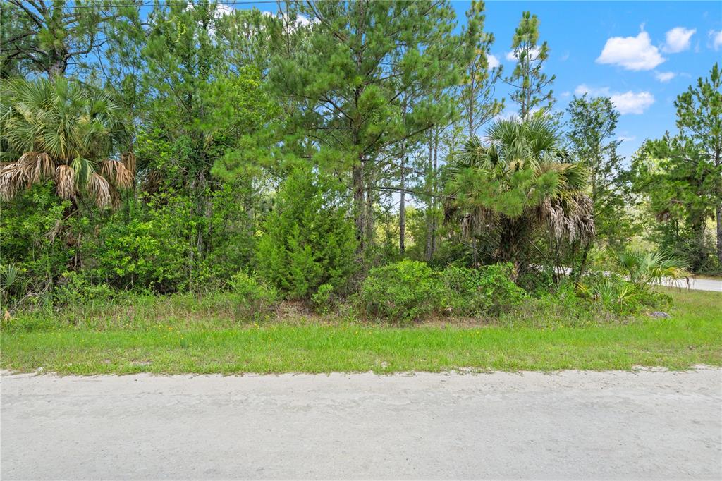 A dirt road runs in front of a wooded lot with pine trees and palms — RAMSEY ROAD UNIT 16, WEEKI WACHEE, FL