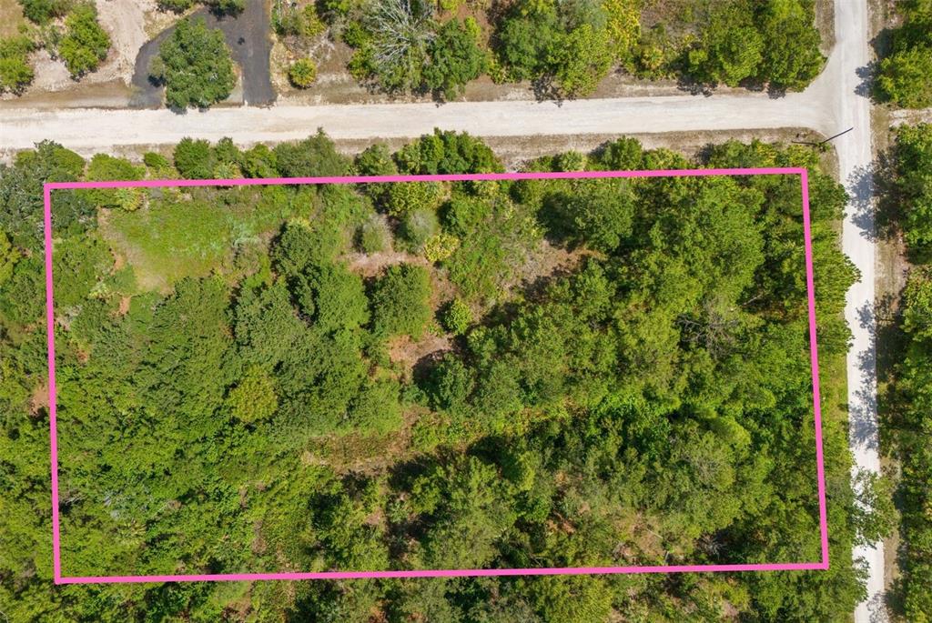 An aerial view shows a rectangular, wooded plot of land outlined in pink — RAMSEY ROAD UNIT 16, WEEKI WACHEE, FL