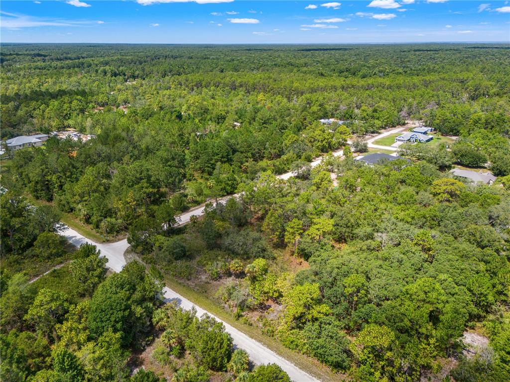An aerial view shows a dirt road winding through a dense, wooded residential area — RAMSEY ROAD UNIT 16, WEEKI WACHEE, FL
