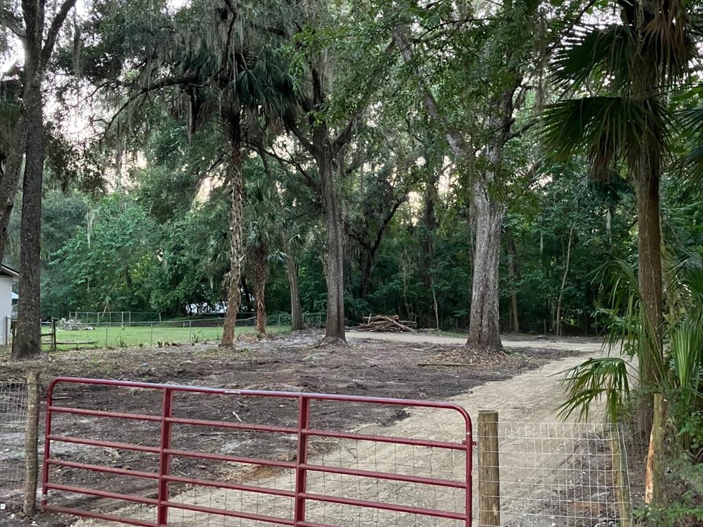 A red metal gate opens onto a cleared dirt lot surrounded by mature trees — 4602 SE 19TH AVENUE, OCALA, FL