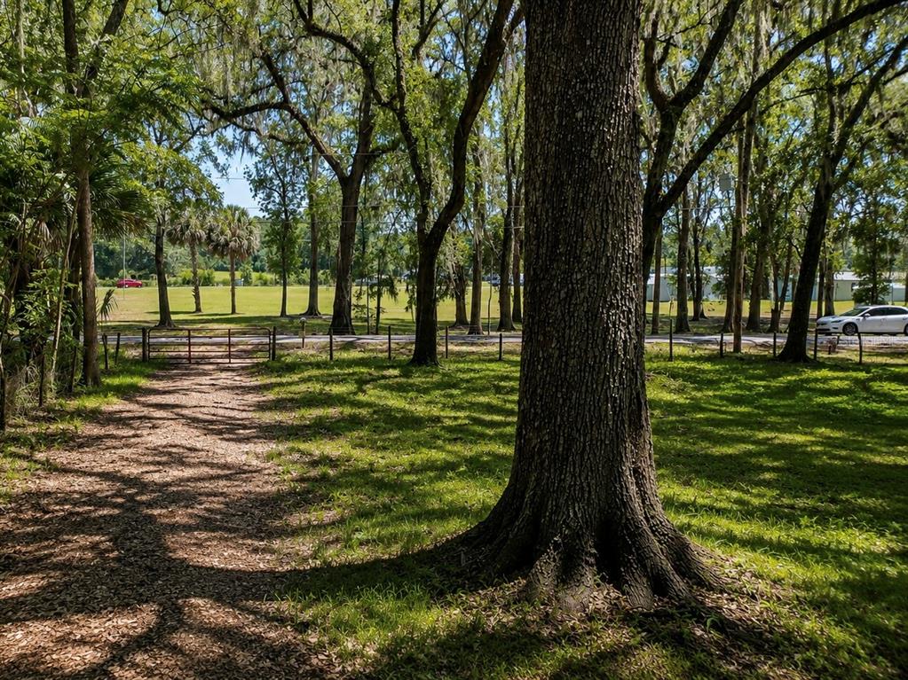 A dirt path leads through a wooded area toward a fenced field and a road — 4602 SE 19TH AVENUE, OCALA, FL