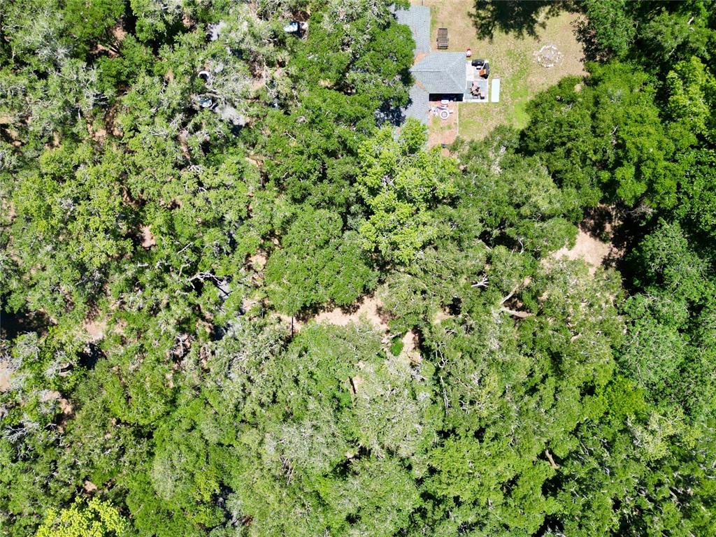 An aerial view shows a house nestled within a dense, wooded lot — 4602 SE 19TH AVENUE, OCALA, FL