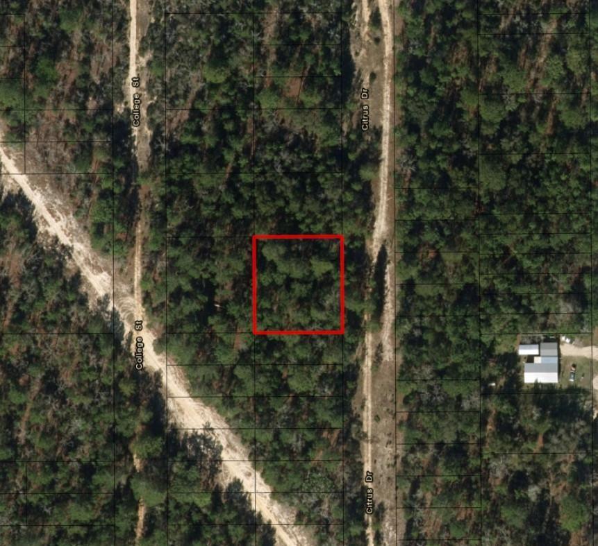An aerial view of a wooded, rectangular plot of land outlined in red — 0 Citrus Street, FL 32148, FL