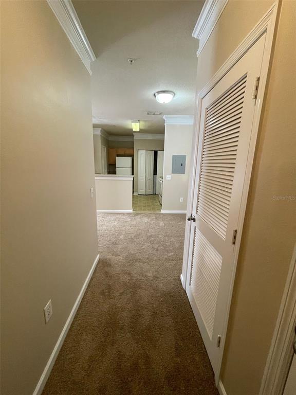 A carpeted hallway leads toward a kitchen with light-colored walls and a louvered closet door — 8836 VILLA VIEW CIRCLE UNIT 201, ORLANDO, FL