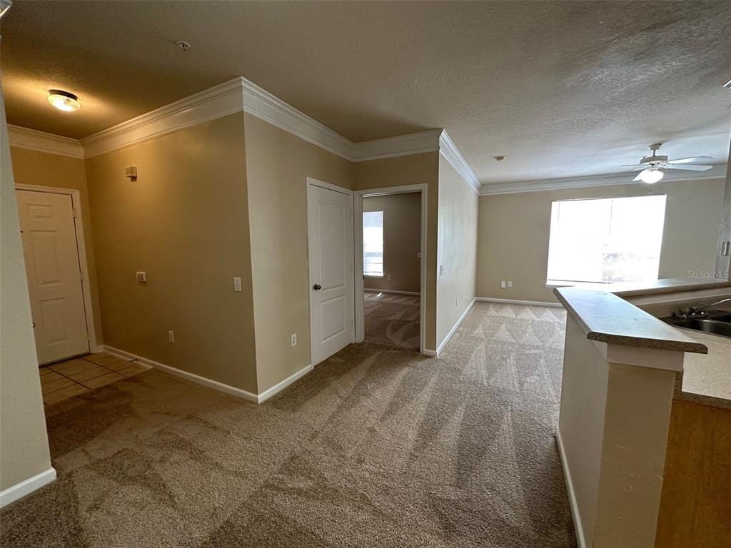 An interior view shows a carpeted living area, a kitchen counter, and a hallway entrance — 8836 VILLA VIEW CIRCLE UNIT 201, ORLANDO, FL