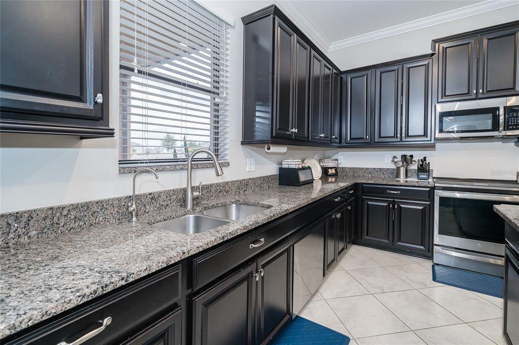 A kitchen features dark cabinetry, granite countertops, stainless steel appliances, and a double-basin sink — 8099 LAGO MIST WAY, WESLEY CHAPEL, FL