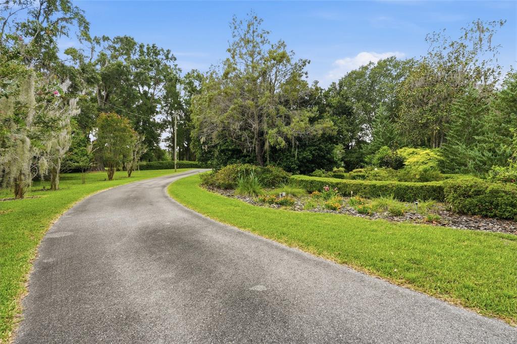 A paved driveway curves through a lush, landscaped yard with mature trees and shrubs — 26341 NW 166TH AVENUE, HIGH SPRINGS, FL