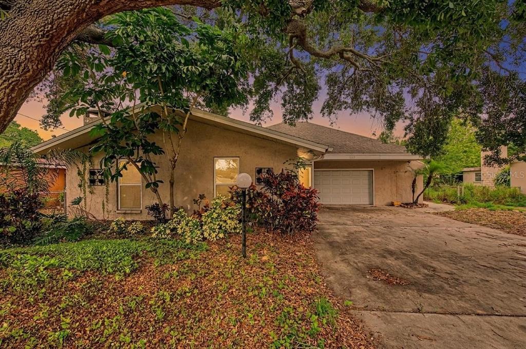 A single-story house with a concrete driveway, stucco exterior, and large oak trees in front — 1647 SUMMERDALE DRIVE S, CLEARWATER, FL