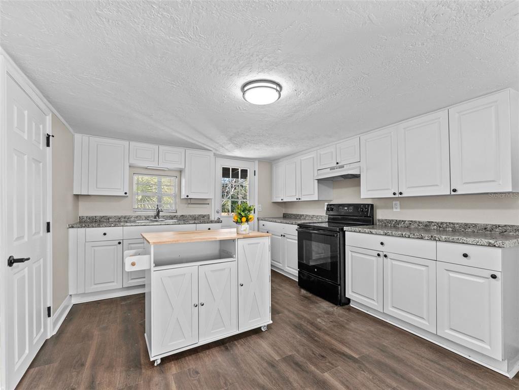 A kitchen features white cabinets, granite countertops, a portable island, and dark wood-look flooring — 3622 E MOHAWK AVENUE, TAMPA, FL