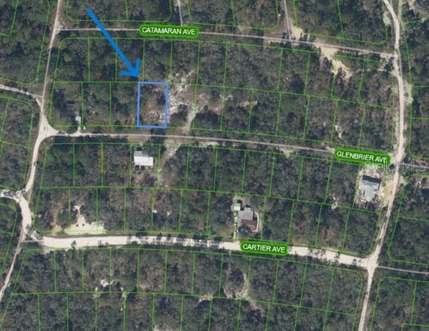 This is an aerial map showing a vacant lot highlighted in blue near Catamaran Avenue — 314 GLENBRIER AVENUE, LAKE PLACID, FL