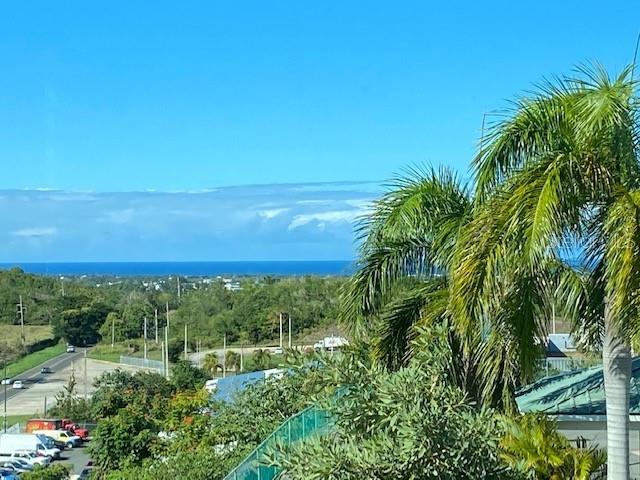 A view of a lush green landscape with a palm tree and the ocean beyond — VISTA DEL MAR LUXURY BARRIO ARENALES ROAD 110 UNIT C 201, AGUADILLA, PR