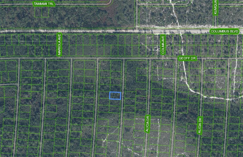 This is a satellite map showing a highlighted rectangular plot of land in a wooded area — 6663 ANTHEA DRIVE, SEBRING, FL