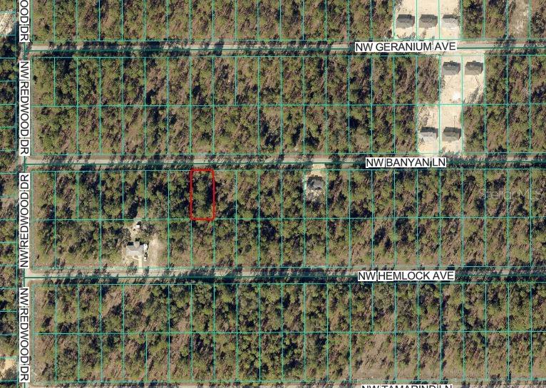 This aerial map shows a vacant, rectangular lot outlined in red within a wooded area — NW BANYAN LN, DUNNELLON, FL