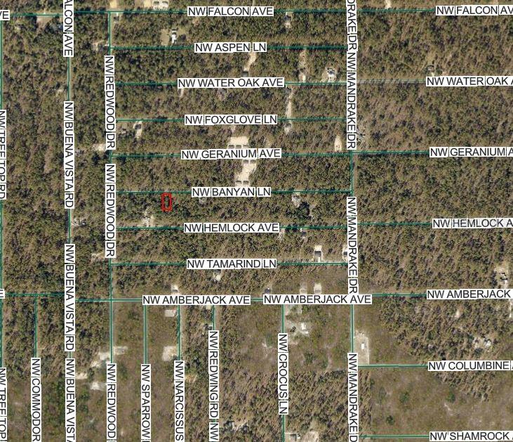 This is an aerial map showing a rectangular property lot outlined in red — NW BANYAN LN, DUNNELLON, FL