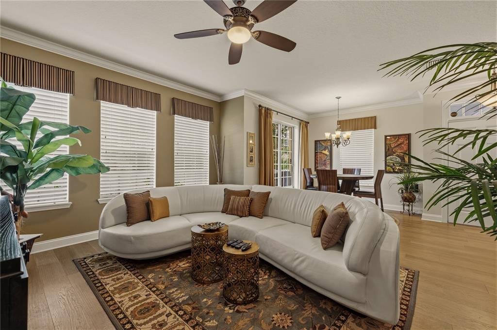 A living room features a curved white sofa, patterned area rug, and dining area beyond — 27763 PLEASURE RIDE LOOP, WESLEY CHAPEL, FL