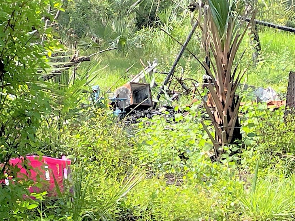 An overgrown outdoor area features a charred metal structure and a bright pink plastic chair — 1823 INSPIRATION COURT, LEHIGH ACRES, FL