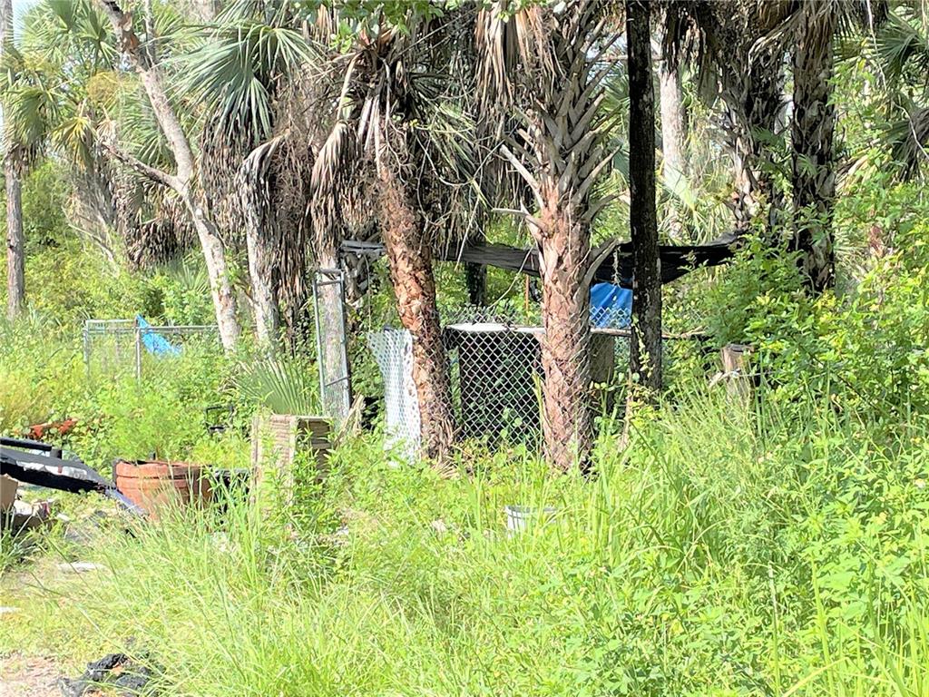 An outdoor area features a chain-link fence enclosure surrounded by tall grass and palm trees — 1823 INSPIRATION COURT, LEHIGH ACRES, FL