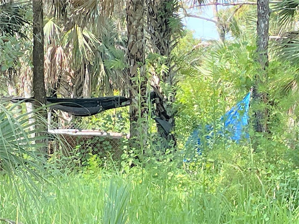 A hammock and a blue tarp are set up among trees and dense vegetation — 1823 INSPIRATION COURT, LEHIGH ACRES, FL