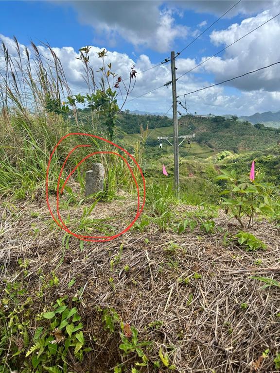 A concrete survey marker stands in a grassy, sloped field with a utility pole nearby — BO.  INDIERA BAJA, MARICAO, PR