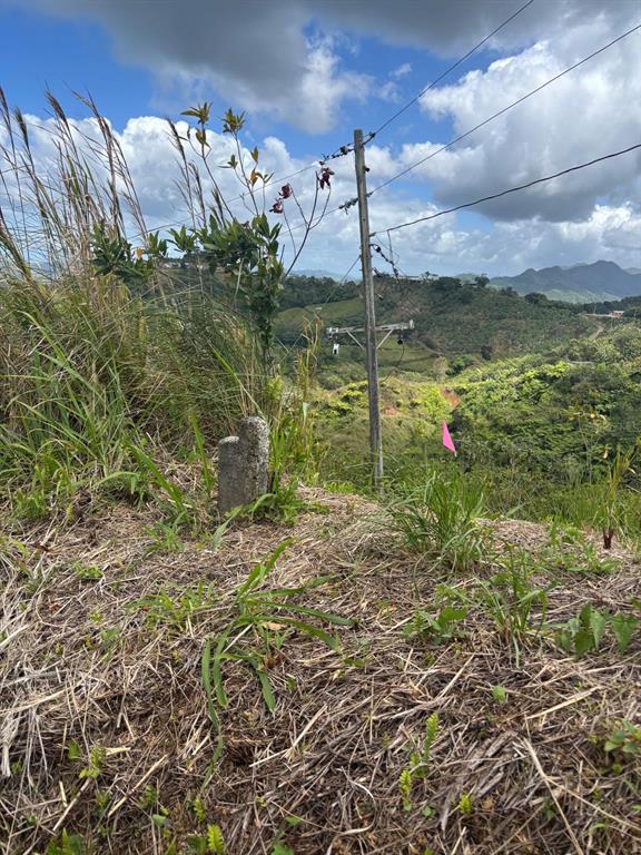 A concrete survey marker sits in a grassy field near a utility pole overlooking hills — BO.  INDIERA BAJA, MARICAO, PR