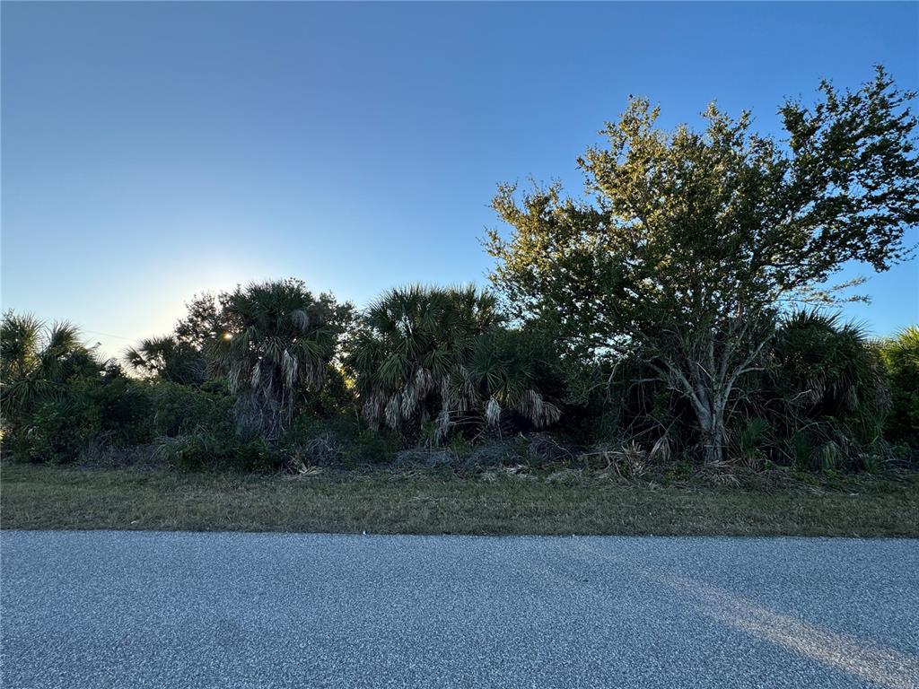 A paved road runs in front of a wooded lot with palm trees and vegetation — 9453 GALAXIE CIRCLE, PORT CHARLOTTE, FL