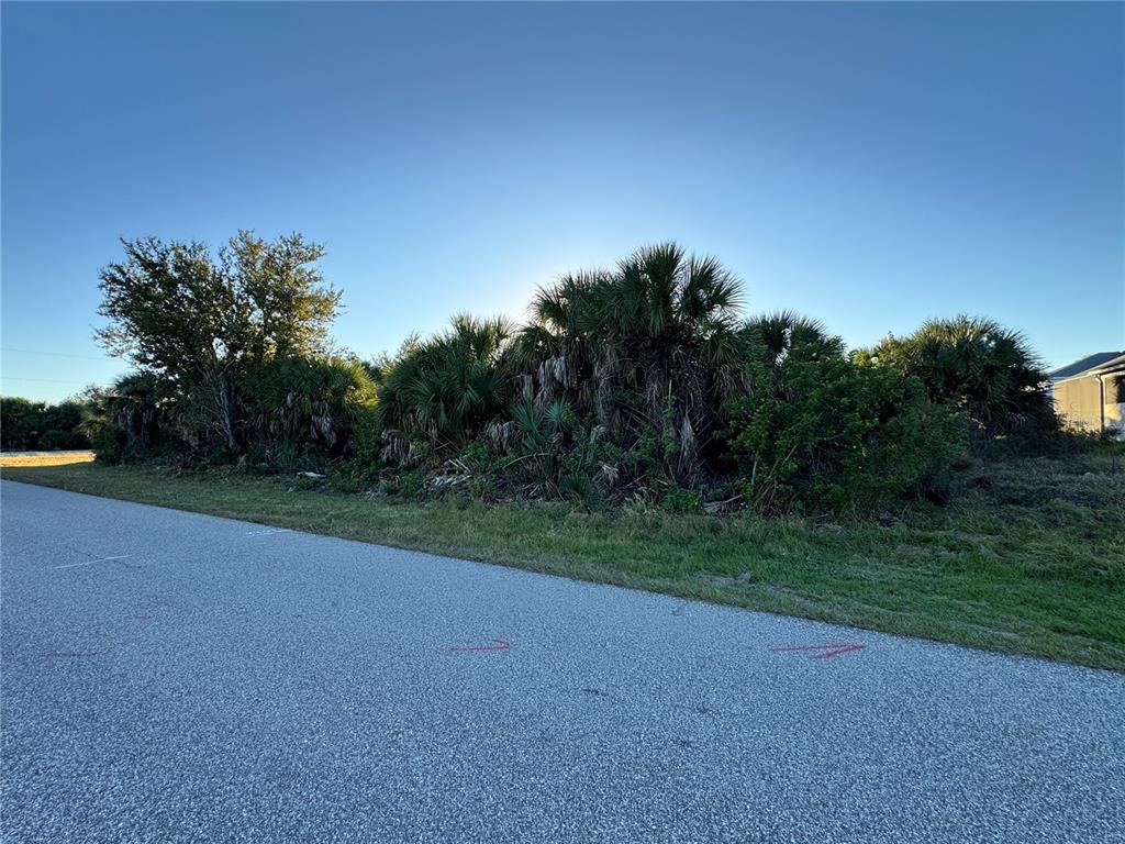 A paved road runs alongside a vacant lot covered in dense trees and palmetto bushes — 9453 GALAXIE CIRCLE, PORT CHARLOTTE, FL