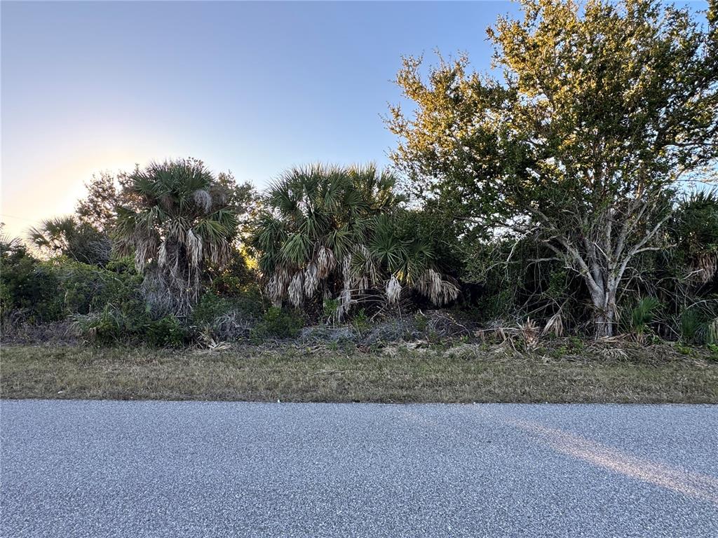 A paved road runs in front of a wooded lot with palm trees and brush — 9453 GALAXIE CIRCLE, PORT CHARLOTTE, FL