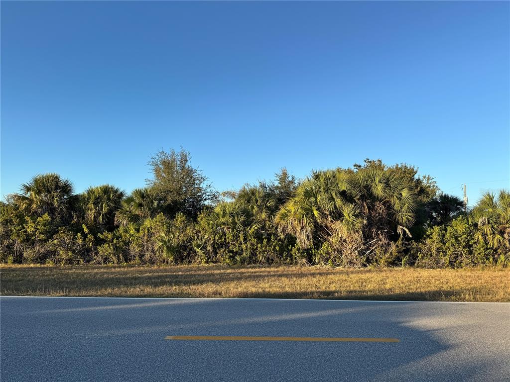 A paved road runs in front of a grassy lot with dense trees and palm bushes — 9453 GALAXIE CIRCLE, PORT CHARLOTTE, FL