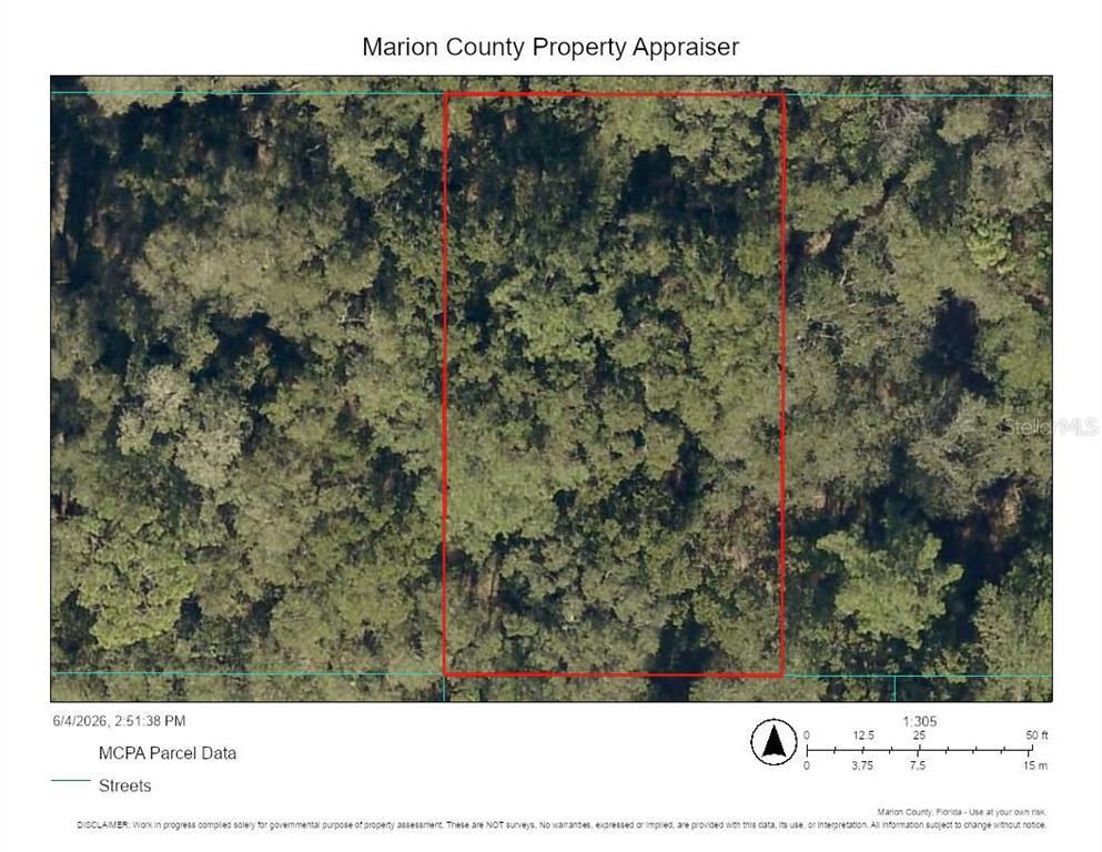 This is a property map showing a rectangular parcel of land covered in dense trees — Lots 7,8,9 SE 131ST PLACE, BELLEVIEW, FL