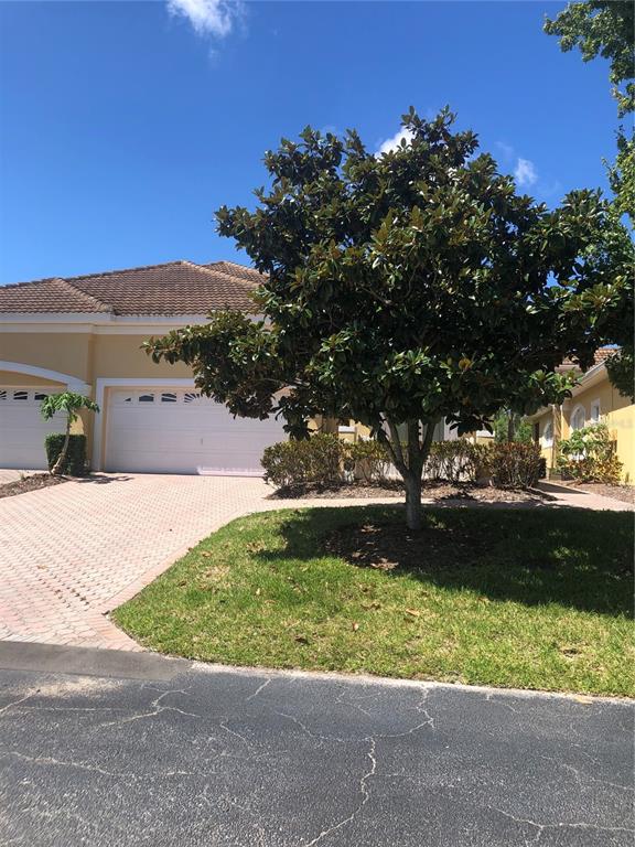 A large magnolia tree stands in the front yard of a house with a driveway — 4704 CASSWELL DRIVE, NEW PORT RICHEY, FL