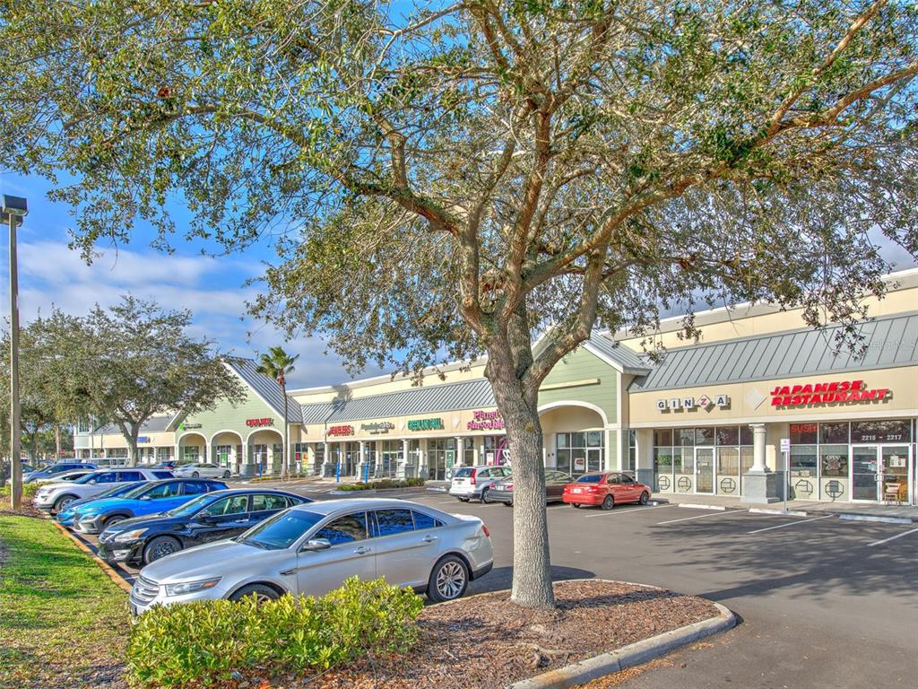 A parking lot in front of a strip mall with several storefronts and large trees — 2215 COLLIER PARKWAY, LAND O LAKES, FL