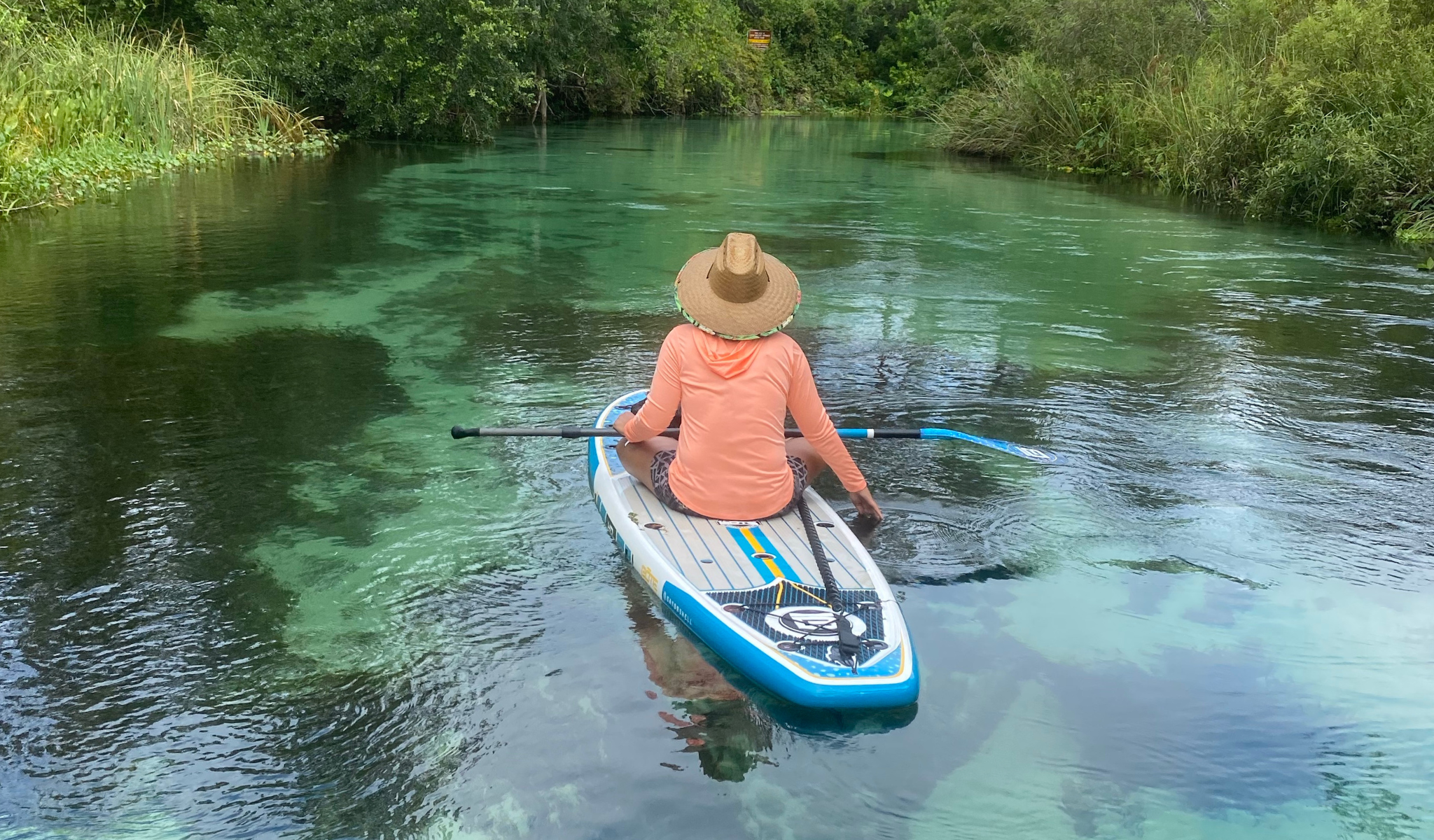 Beyond the Beach: Exploring Florida's Magical Natural Springs