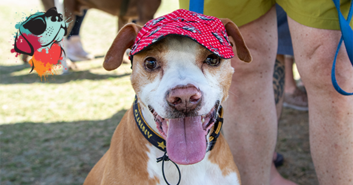 Bark in the Park​ 2025 - Tampa
